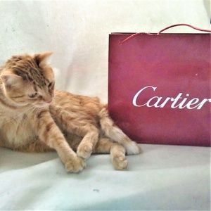 CARTIER large red platinum shopping bag 12.5x11